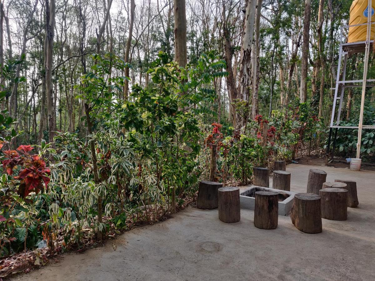 Kaikane Homestay Madikeri Dış mekan fotoğraf